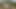 Granny fucked on the grass and deepthroating young cock