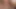 Hairy Bear Breeds Smooth Collared Cub HARD