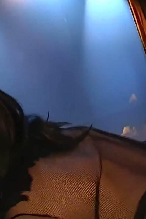 Ggg John Thompson - Sperma Sekreteriat-s Sperm Flood Gangbang