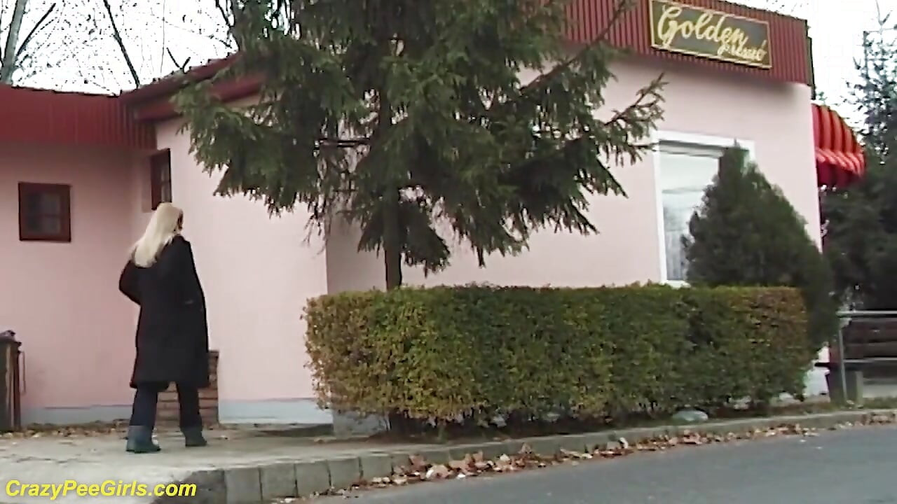 सुंदरी झाड़ियों के पीछे सड़क पर मूत रही है