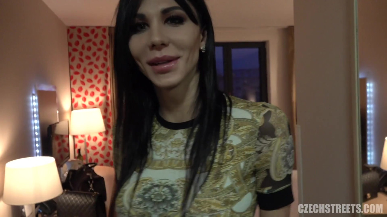 チェコの街 - ディックスとひよこ