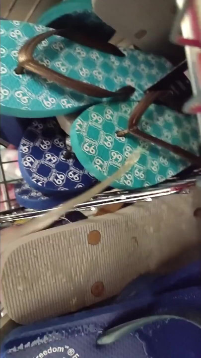 Pissing
