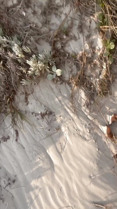 Mike is stroking on the beach again