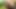 Bare Cravings - Part #2 - 100% Bareback