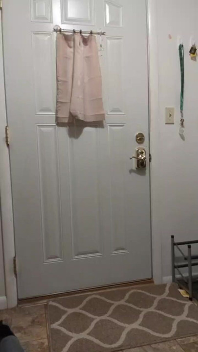 Köpek yavrusu yalvarıyor