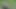 Twink scout wanking off in the woods