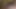 الملاك الآسيوي 25272