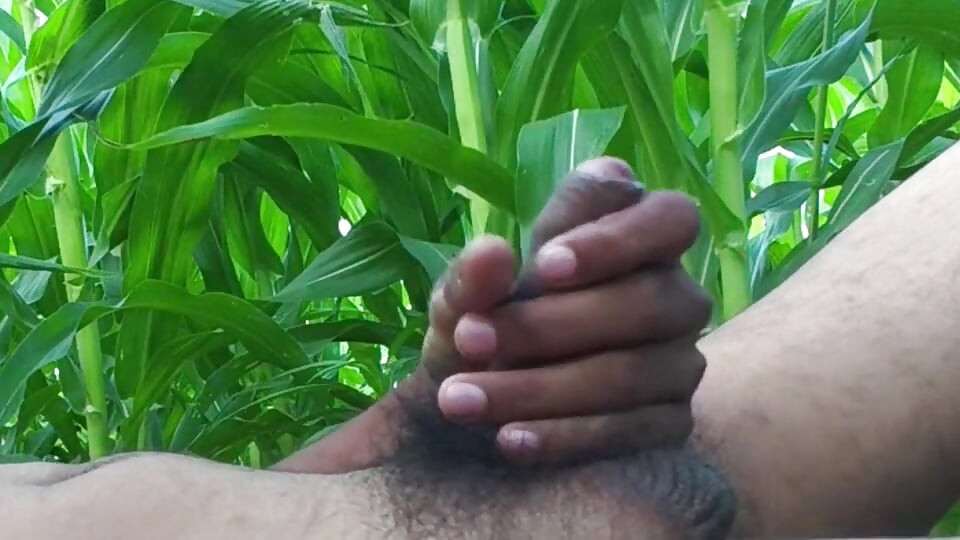 Verdensomspennende Viral Desi Hunk Solo Action Vol 10 - Premium Ansiktsløs Amatør Nærbilde Intens Stryking Masterclass 4K