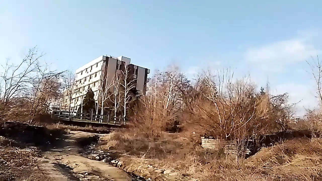 Gole velike sise u prirodi