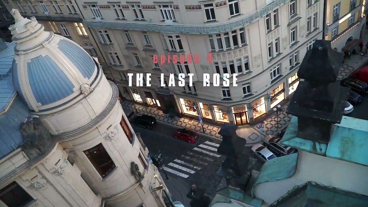The Last Rose: the Last Rose 4