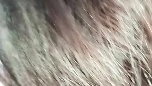 Big Natural Tits Wife Giving A Slow And Close Up Blowjob