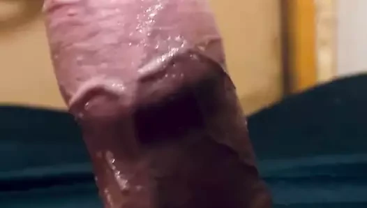 Cocklover