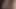 I Want to Put My Dick in My Girlfriend's Tight Pussy. Desi Indian Young Boy Wants Someone to Swallow His Cum.
