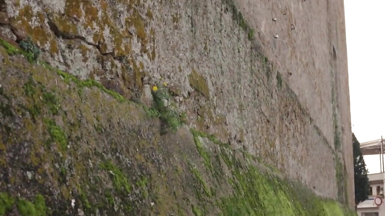 Polka dot váy babe đụ mạnh trong rừng