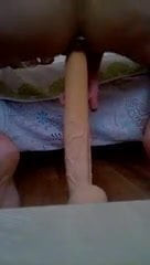 huge dildo 13 inch