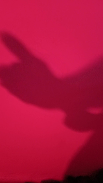 Shadow masturbation