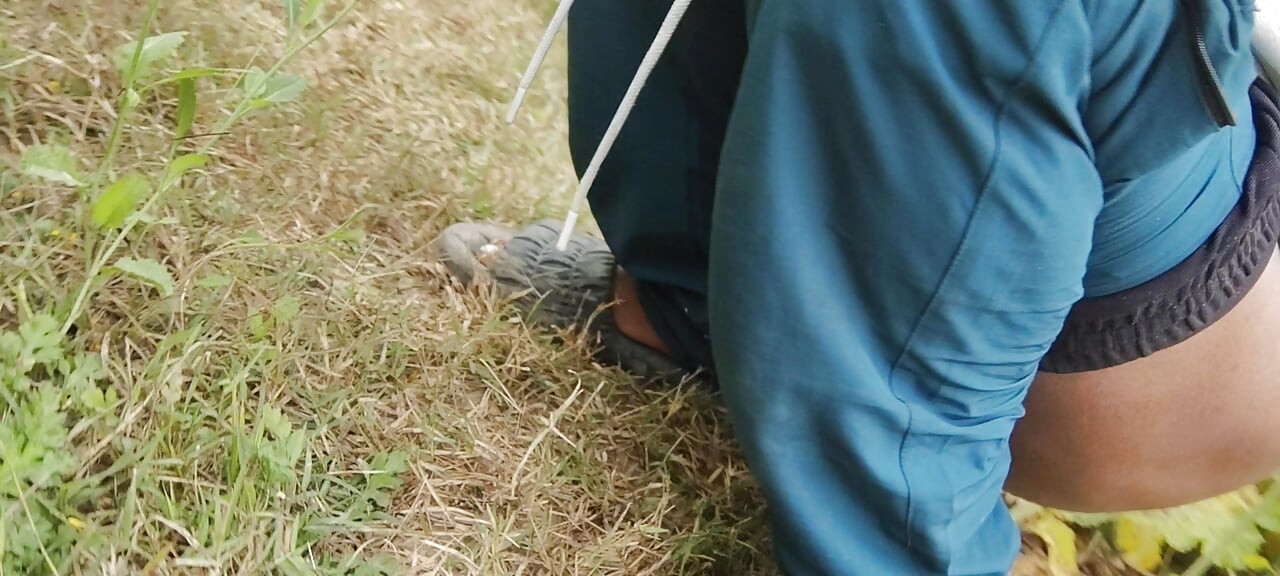 Gaon wali sexy video Jungle mein jakar rang Rasiya