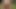 Geile Schlampe, fette BBW Ex-Freundin liebte es, im Freien zu ficken-2