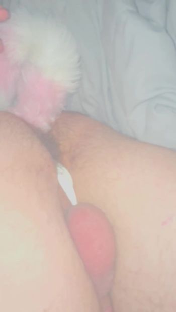 Shy Sissy popping Foxy tail out