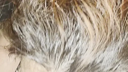 I give a blowjob to a stranger
