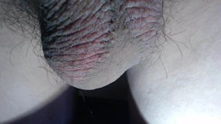 Close-up hairy balls during masturbation AND during orgasm