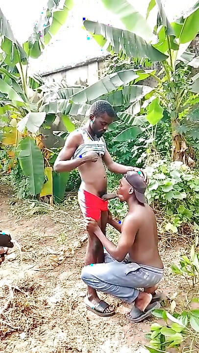 Perfora el culo de perra con una polla de 12 pulgadas