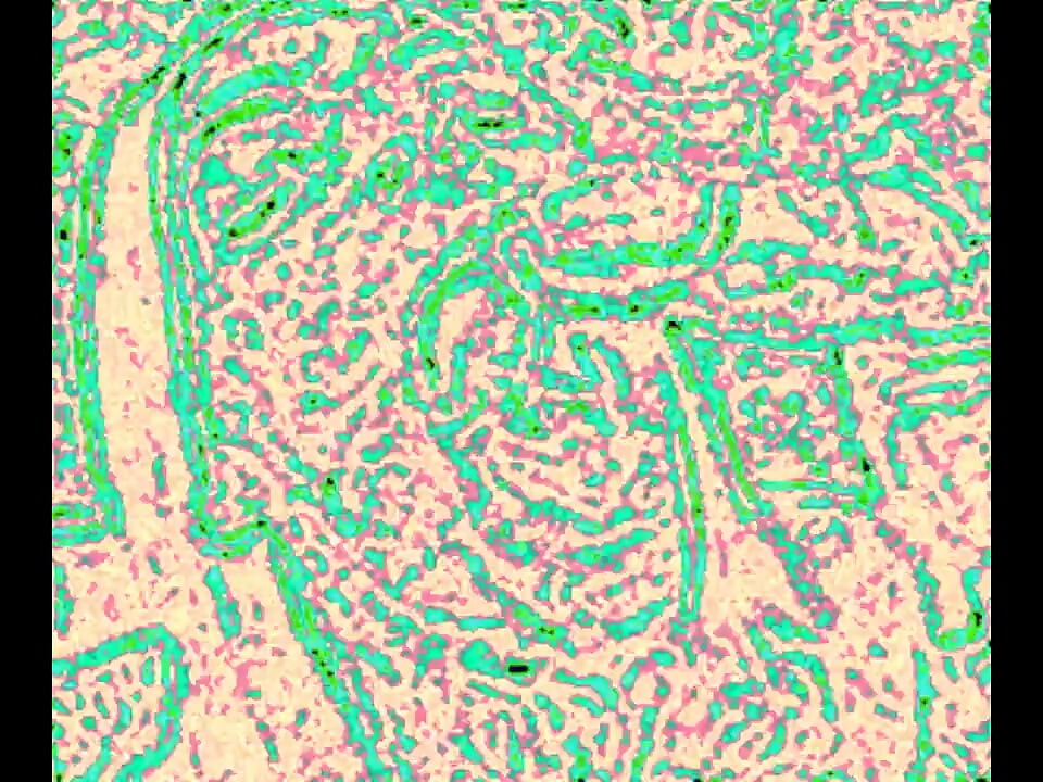 Rozszerzenie CEI Quickie w zestawie