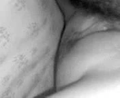 nice pussy lick