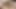 Yaramaz minyon Kylie Kalvetti gülümsüyor ve yaramazlık yapıyor