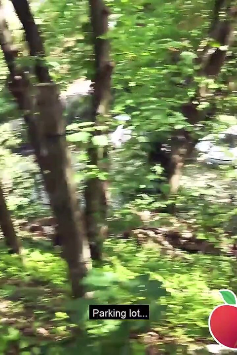 Alman sarışın Tatjana Young sokakta yakalandı ve şehir parkında sikildi