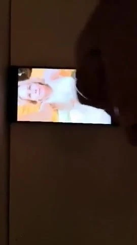 Tribute cum