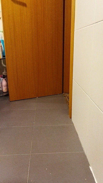 Dildo enorme