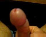 tribute 2