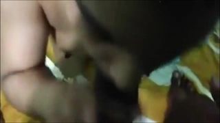 Indian Desi College lovers in homemade sex video