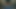 オイルまみれのプールでケリー・リー