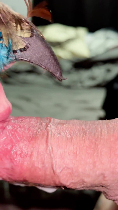 هزة الجماع القوية وهي تستمر في المص! مص زب فوضوي بعد القذف | مقطع 1