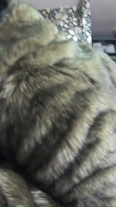 Fur Surprise POV - Deepthroat, Leather Gloves, Spit and Cum Licking | Clip 2