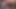 Hairy bear fucks Tiny Tina blow up sex doll on the floor for 2 week huge cumshot