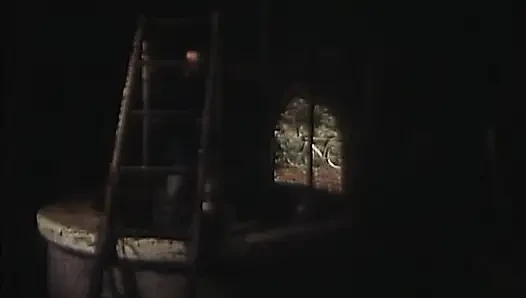 Хороший шик, хороший стиль, но... шлюшки!! (1983)