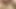 Hard indian big dick muslim army daddy wanted to fuck me