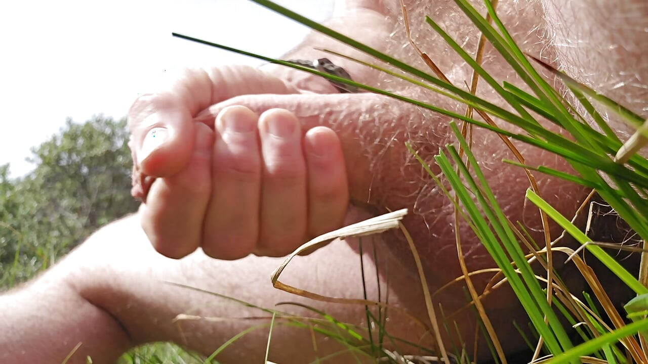 Wanking my big cock in the dunes