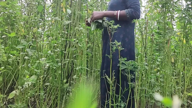 I had sex with my younger sister-in-law in the jungle, full hot pussy fuck sex video
