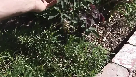 Sexy milf gives perfect blowjob in Pov...