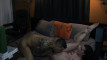 Pregled videozapisa