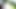 flash & cum for asian girl in park