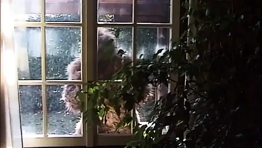 Büyük dörtlü çifte sikiş anal parti