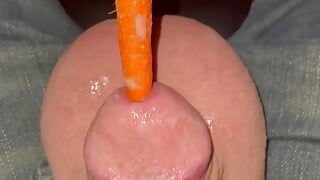 Крихітний член проти моркви