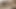 Bu seksi kızın mastürbasyon yaparken büyük göğüslerinin zıpladığını görüyor musun?