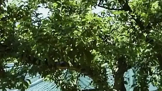 Jana strippt und masturbiert im garten