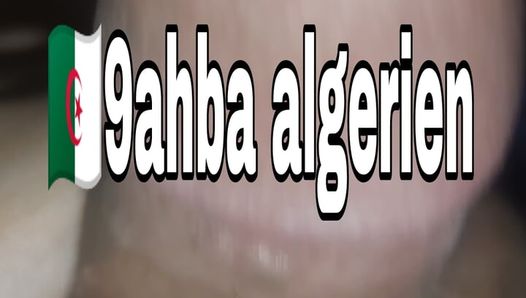 9ahba algerie zab kbir